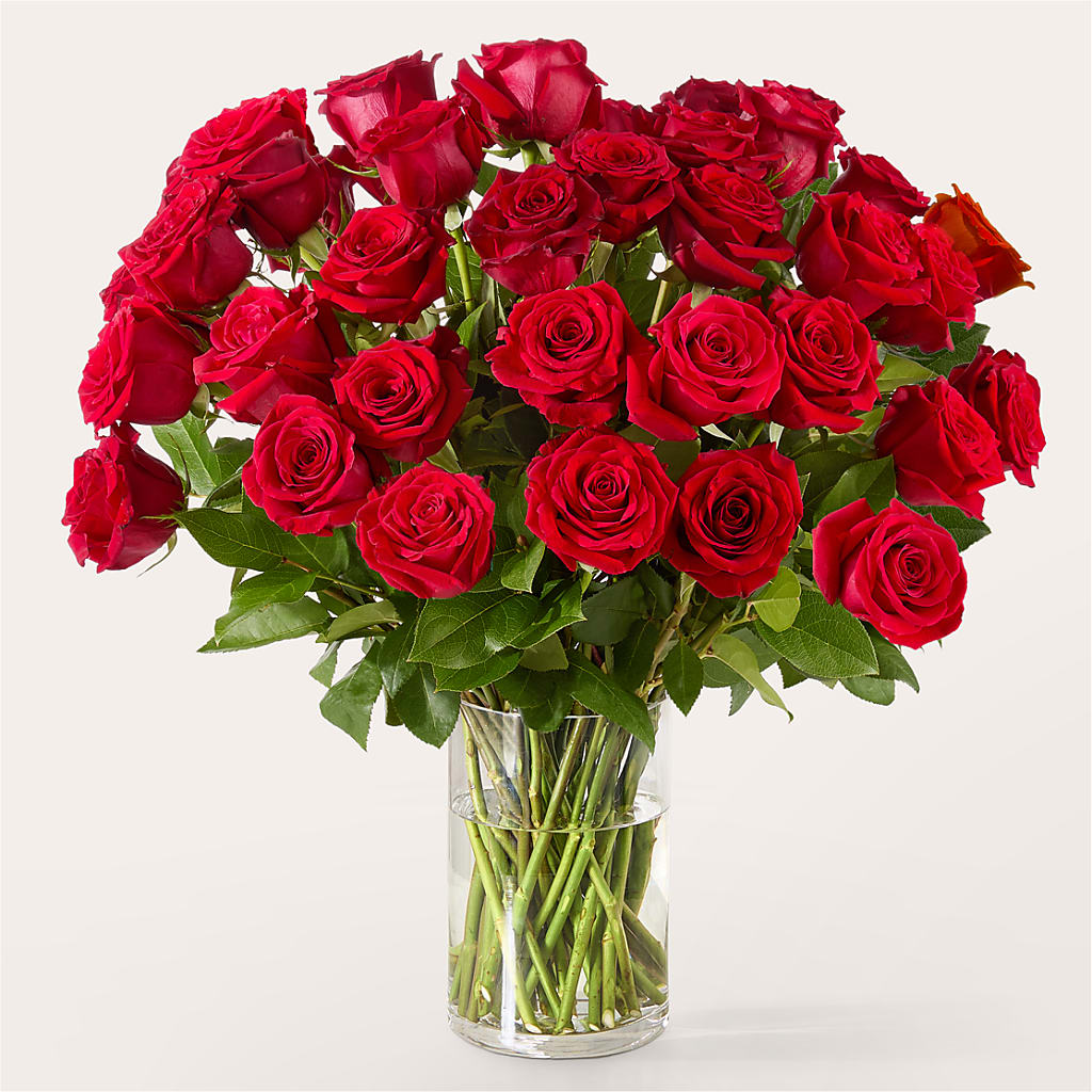The One Red Rose Bouquet –  Wade Florists Llc, Saint Louis MO