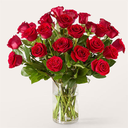 The One Red Rose Bouquet –  Wade Florists Llc, Saint Louis MO