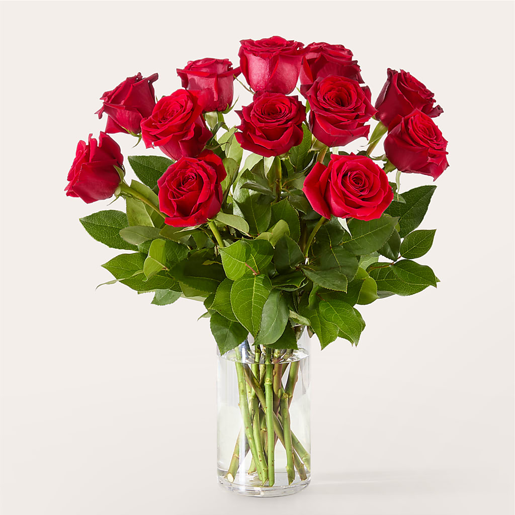 The One Red Rose Bouquet –  Wade Florists Llc, Saint Louis MO